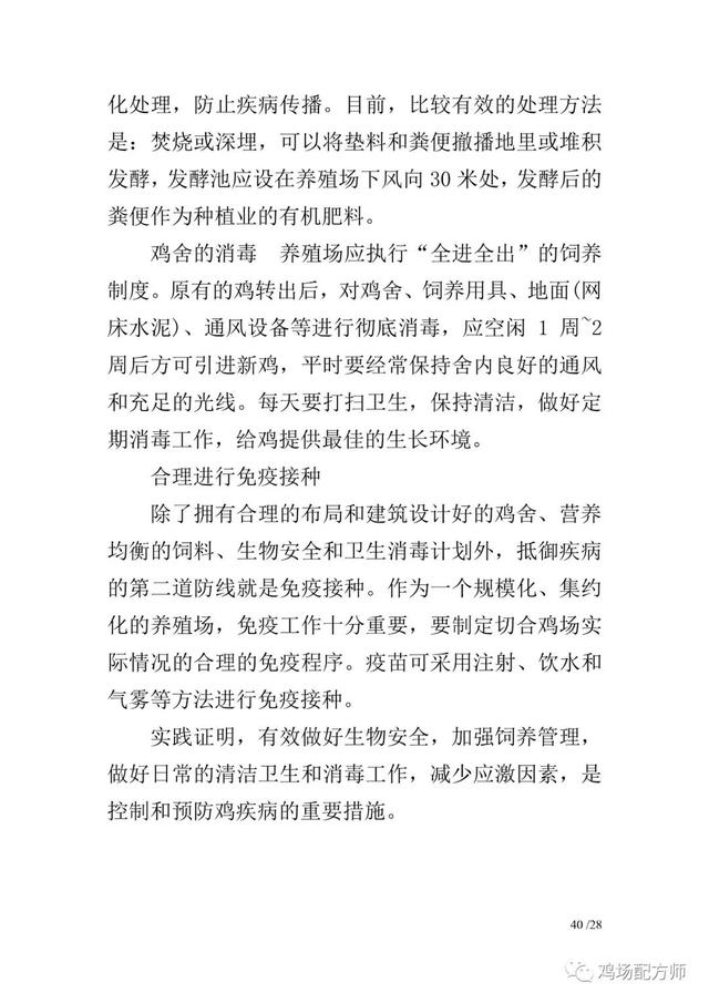 新杨黑蛋鸡饲养管理手册