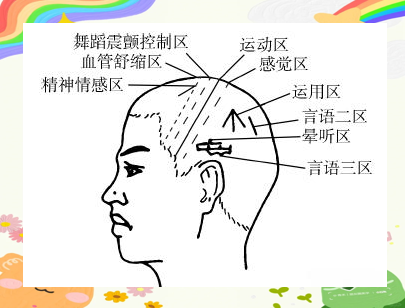 焦氏头针技术详解:从运动区到精神情感区的定位与功能