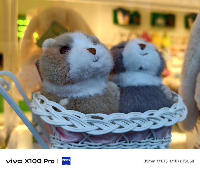 【有料评测】vivo X100 Pro全面评测：百分旗舰新选择