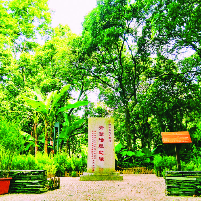 葛洪:罗浮尝百草施药惠民生