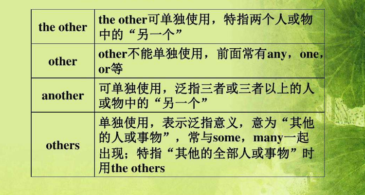 the others和the other的区别