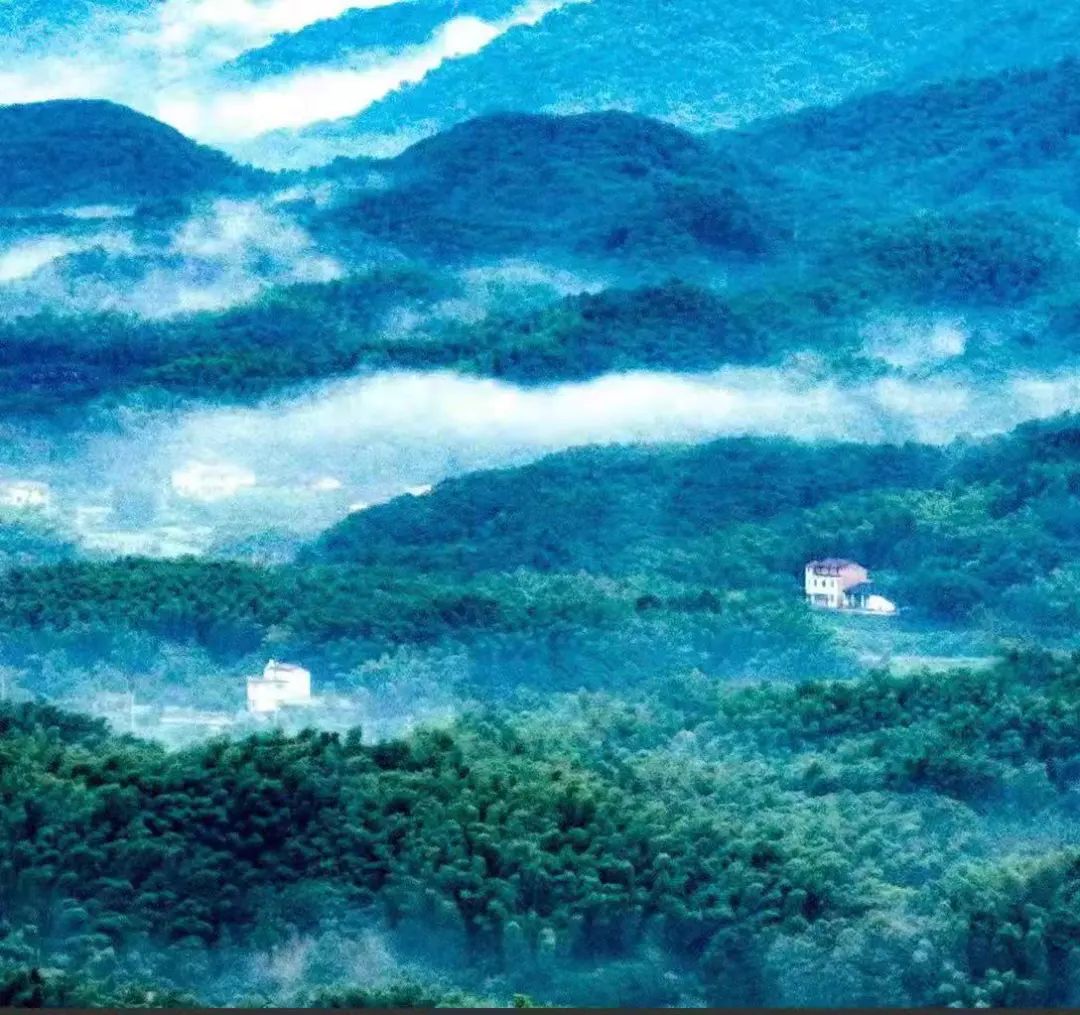 大咖拍咸宁这样的星星竹海你见过吗
