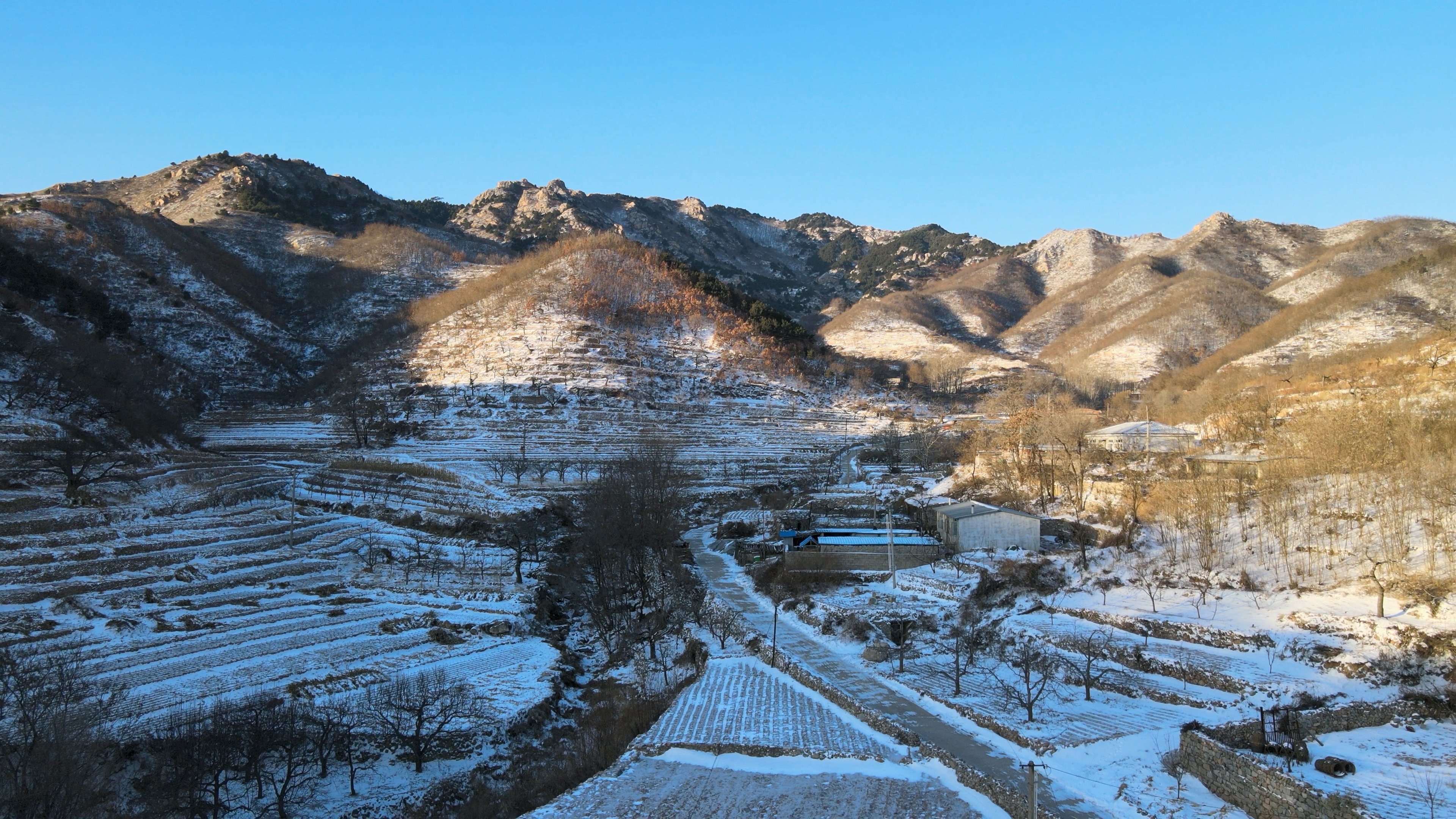 东北农村的冬日之歌 大雪中的团结与奉献