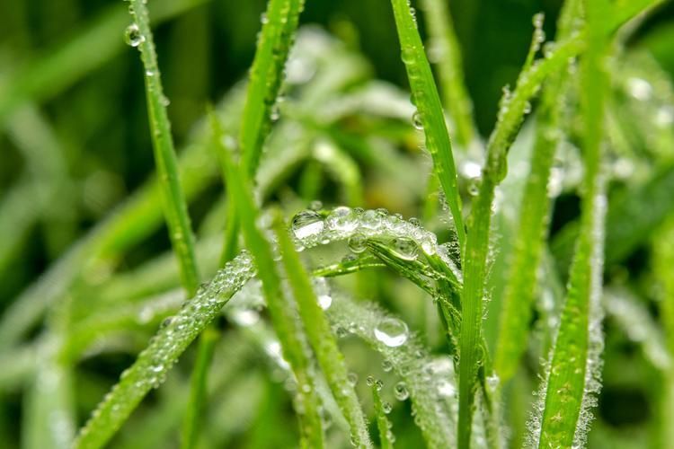 雨后风景图片