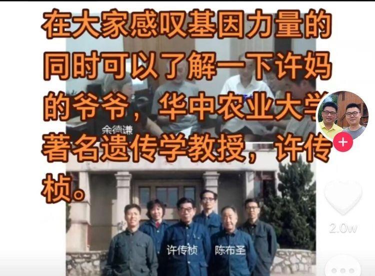 许敏的爷爷许传桢是何许人也?做过什么贡献?和袁公有过交集吗?