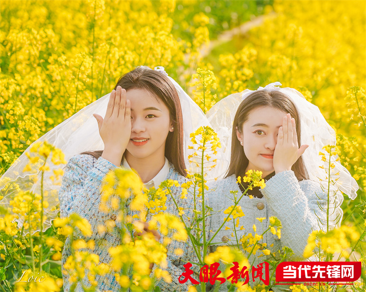 正安县杨兴镇:油菜花开引客来 农旅融合走"兴"路