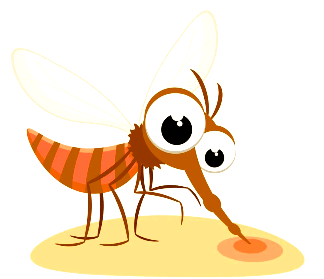 持续降雨后如何有效治理蚊子问题