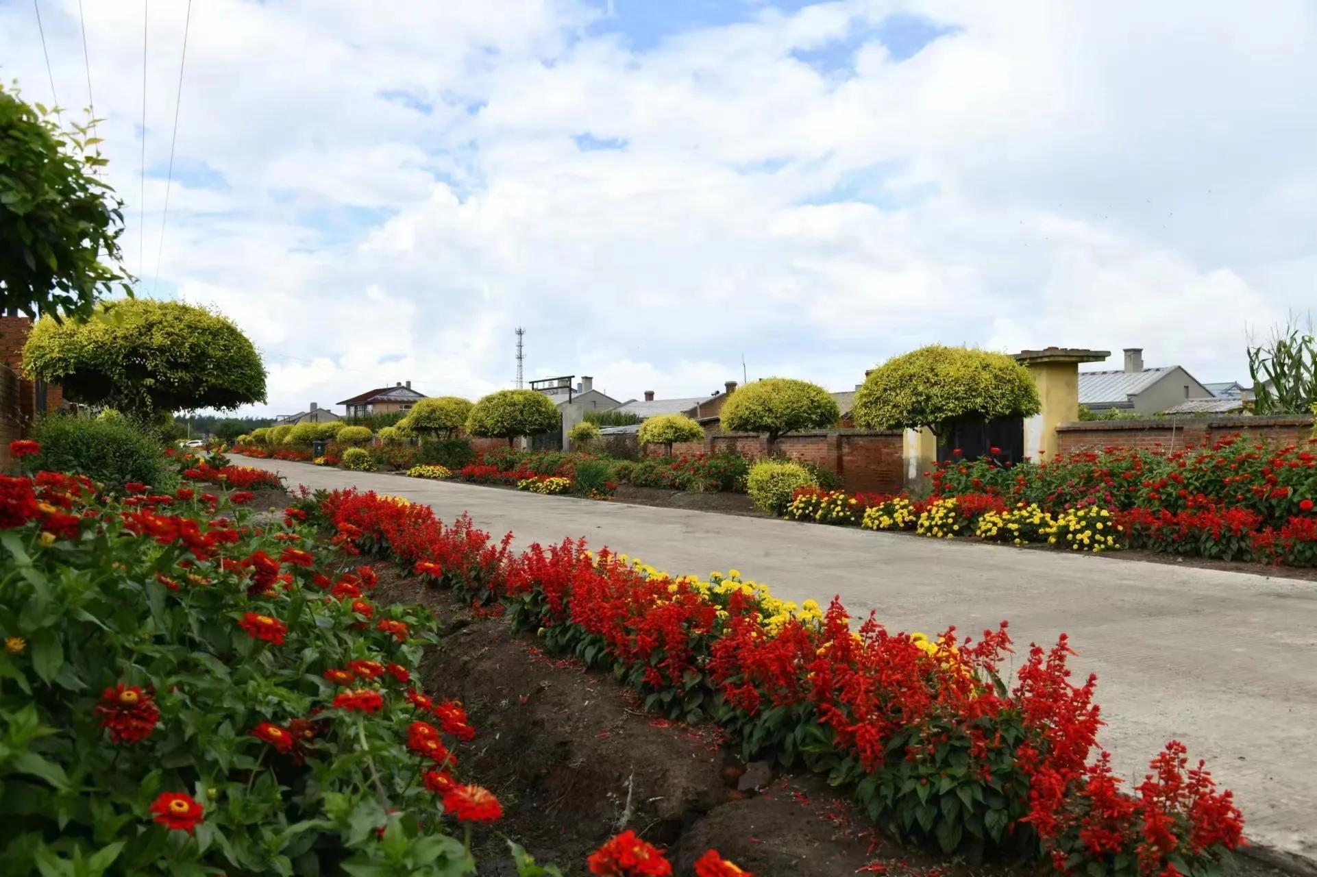 哈尔滨呼兰区:美丽乡村庭院 引领城乡文明新风尚