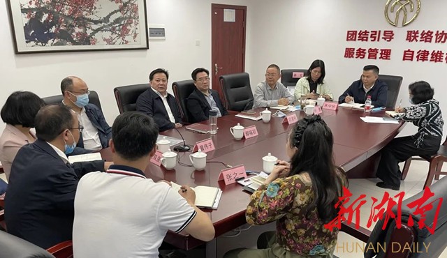 推进"文艺两新"繁荣发展,邵阳市文联在全国文联组联