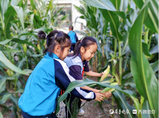 东营悦来湖小学图片