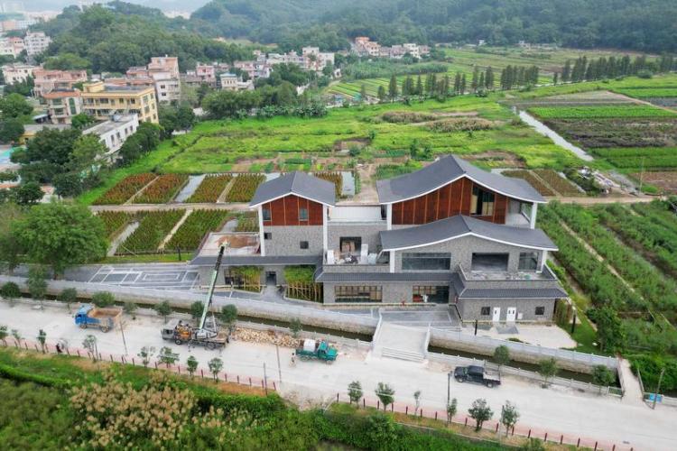 中山板芙里溪村乡村微进步汇聚成村民大幸福