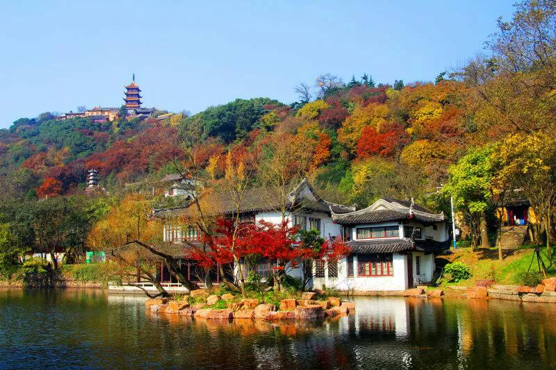 美丽江苏·每日一景丨南通崇川:狼山国家森林公园秋色美如画