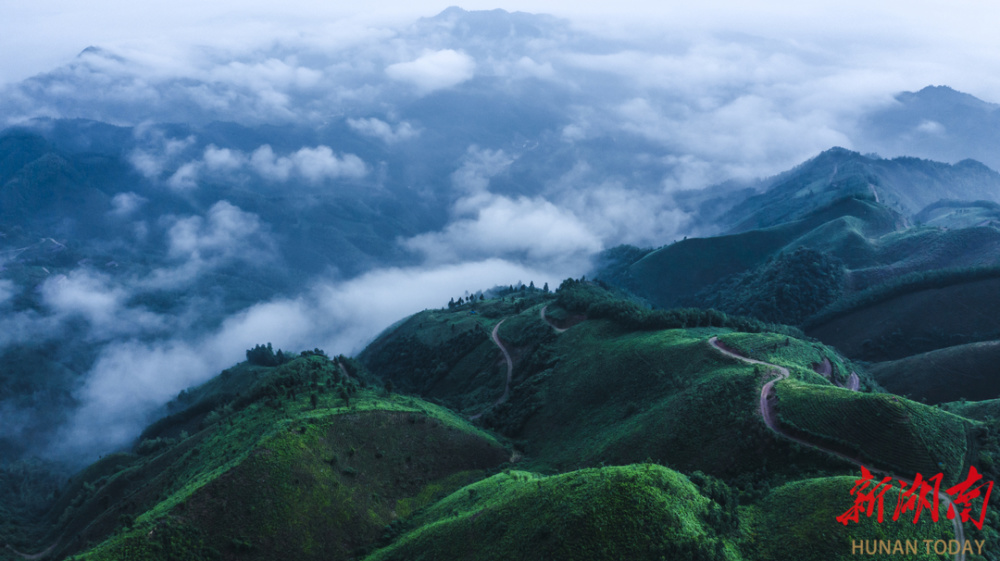 安化高马二溪村:从穷山沟到"亿元村"