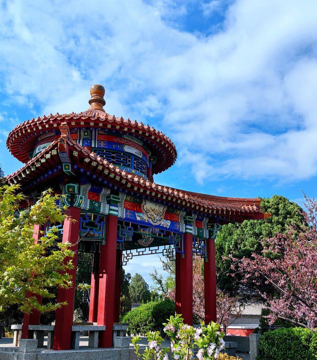 春日泰安虎山公园 一池春水一园花