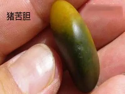 天氣太熱,吃魚苦膽清熱明目,這能信嗎?