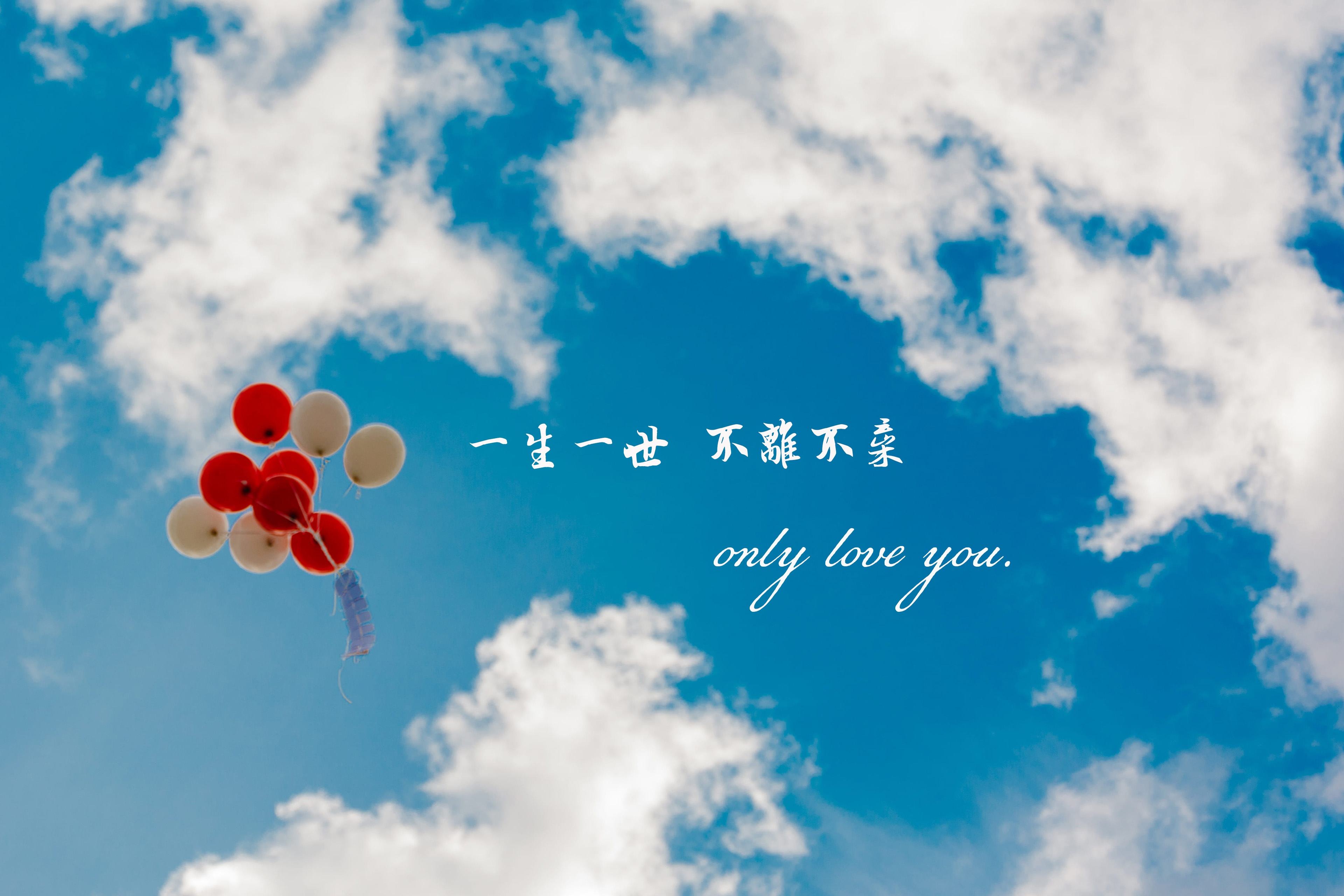 将"爱情"与"姻缘",视为两种不同的理想类型,你向往什么呢