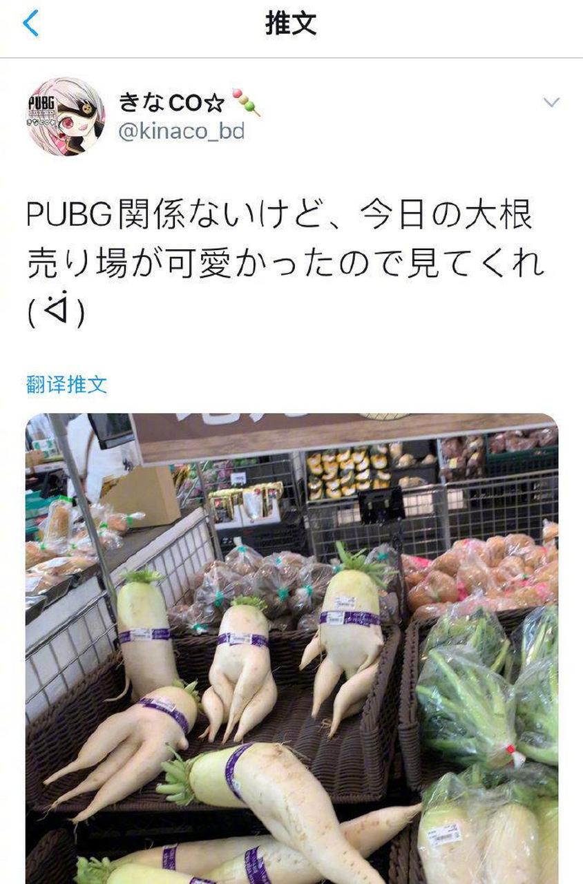 千与千寻里的白萝卜神现实中真的存在哟有点小可爱