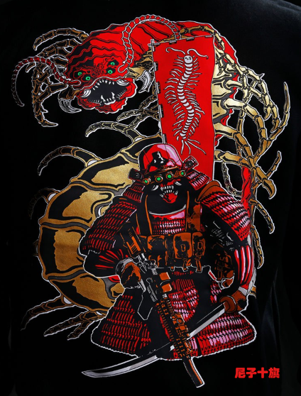 日本战国 武田家族之百足众(武田信玄的青年军官团)