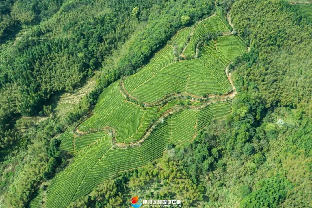 大潭职工活动示范线路丨将口镇崇雒乡