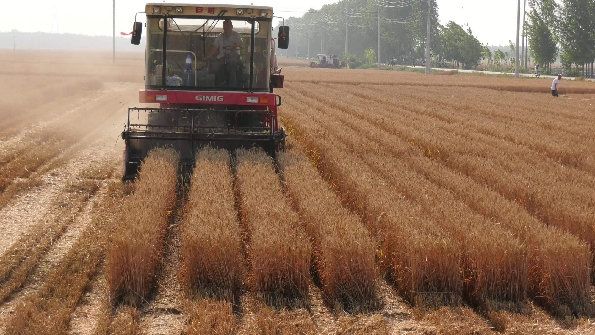 专家收麦子的一百种方法