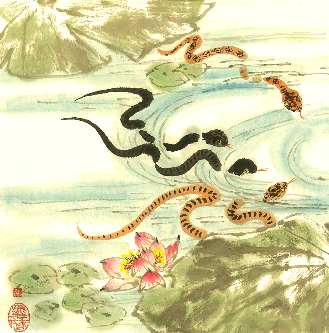 7月13日生肖蛇运势(2021年7月13号十二生肖运势如何)