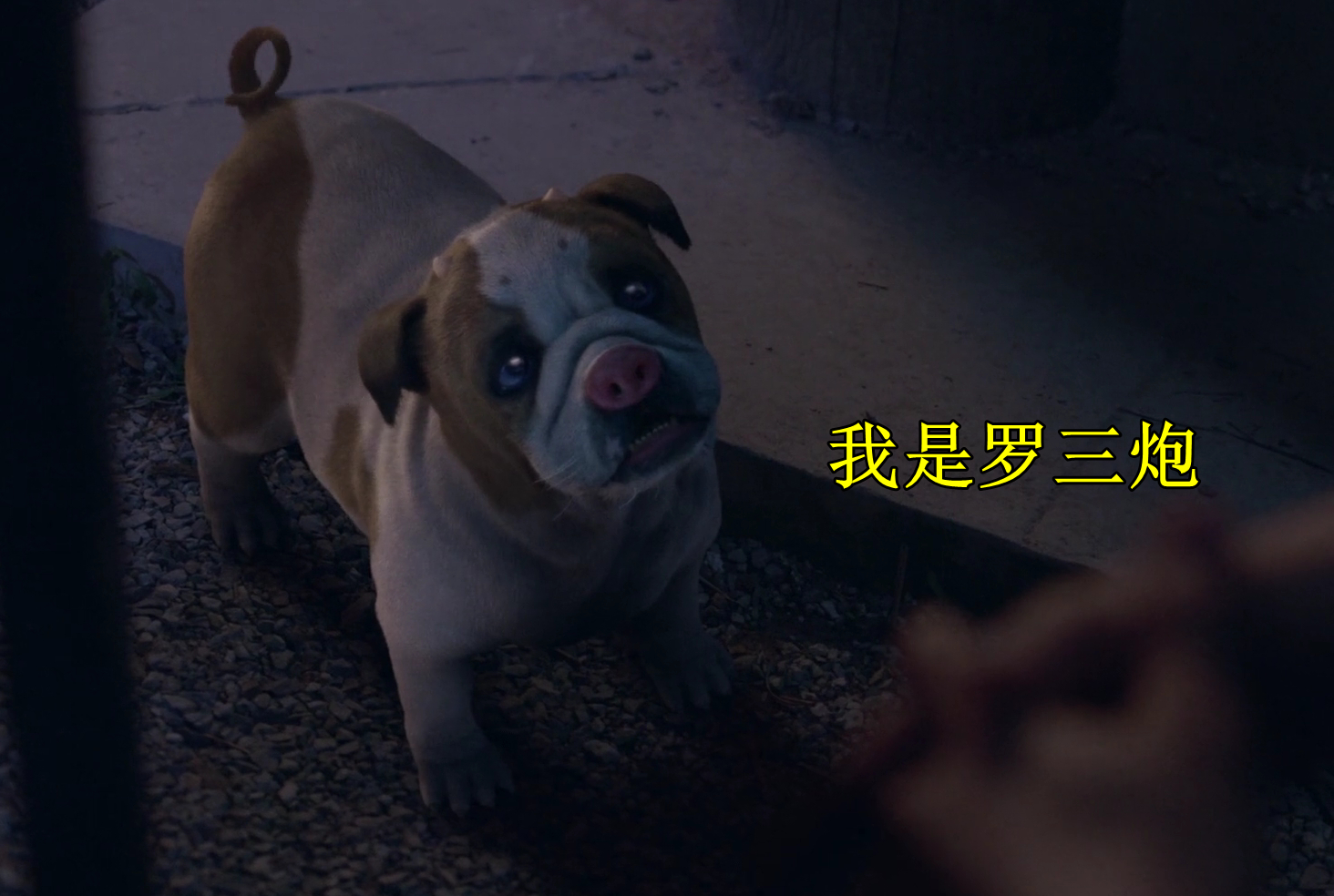 变异武魂"罗三炮"的"灭世猪"形态,与小舞抢萝卜吃,太可爱了