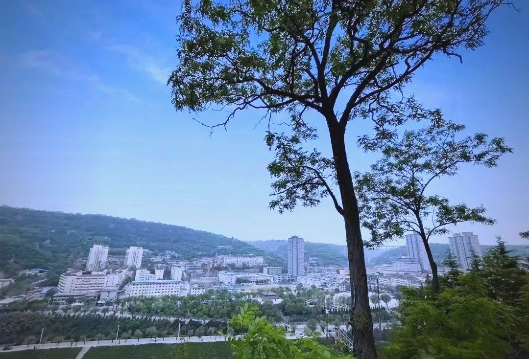 自驾探访:咸阳淳化县的美食与风光之旅