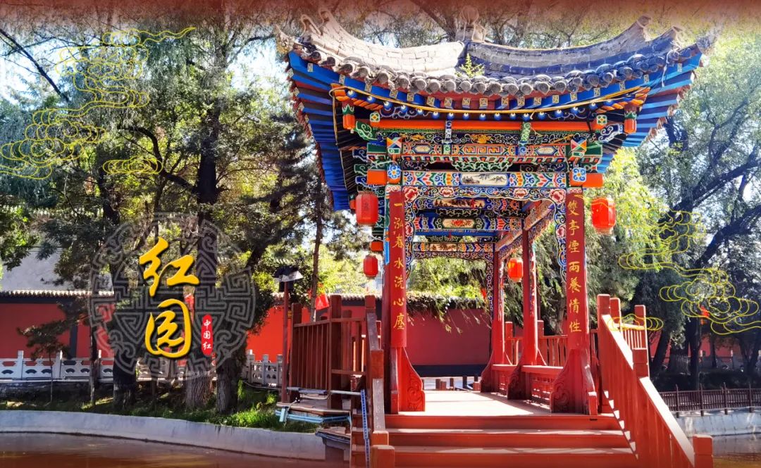 多彩临夏丨中国红,是临夏红园最美的颜色