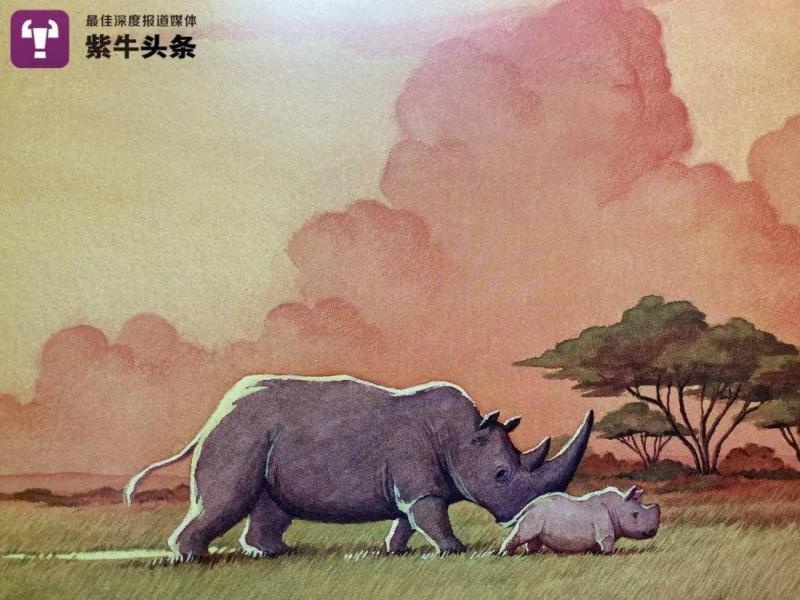 南京女作家非洲探访"最后的北白犀" 绘本《苏丹的犀