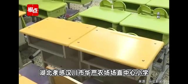 湖北汉川8名小学生军训时被教官要求跪地互扇耳光