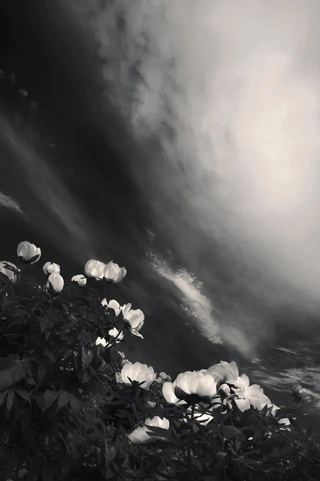 640_960竖版 竖屏