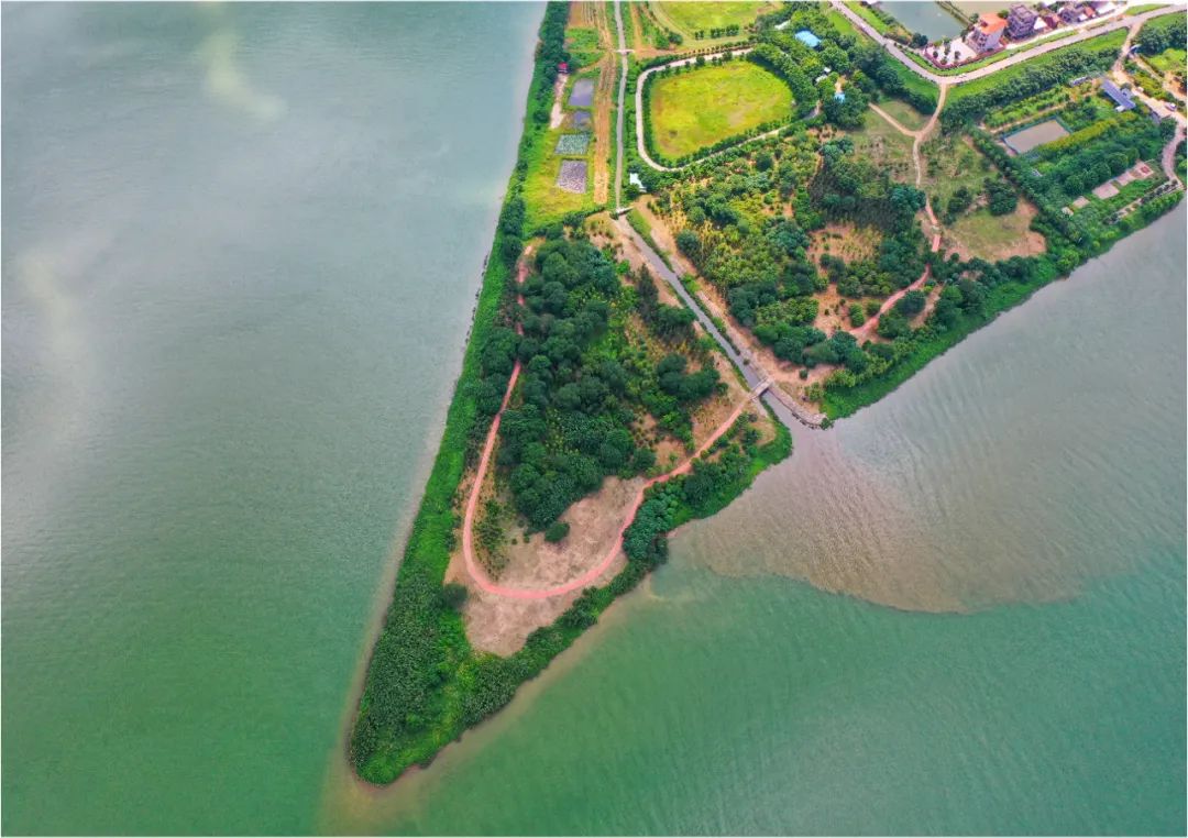 九江海寿岛最美民宿开业!