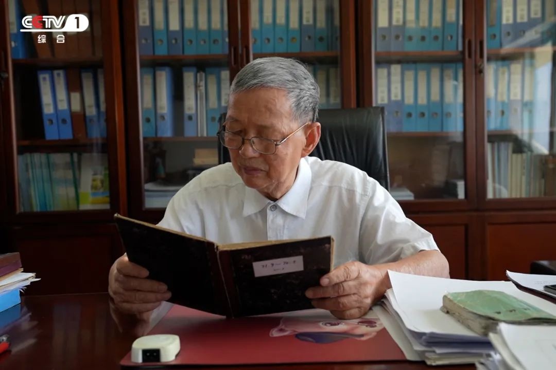 华中农业大学84岁院士坚持60年下田研究油菜:曾发现全世界第一个有