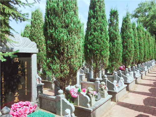沈阳天福墓园图片