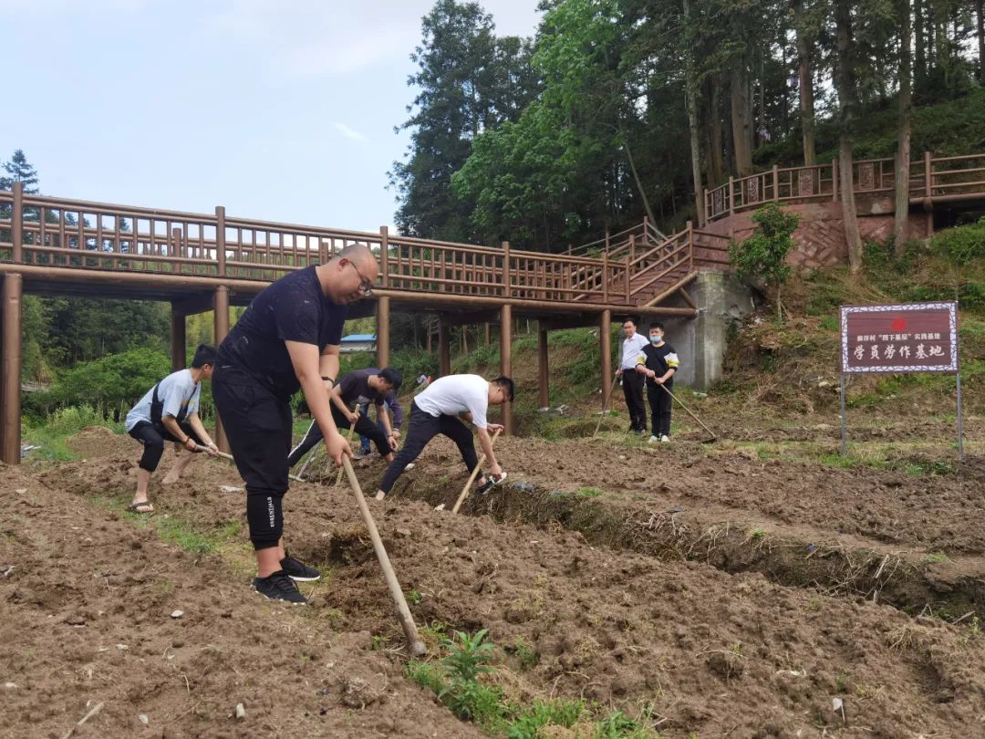 【青年干部"四下基层"实践锻炼】传承红色基因 淬炼担当品格