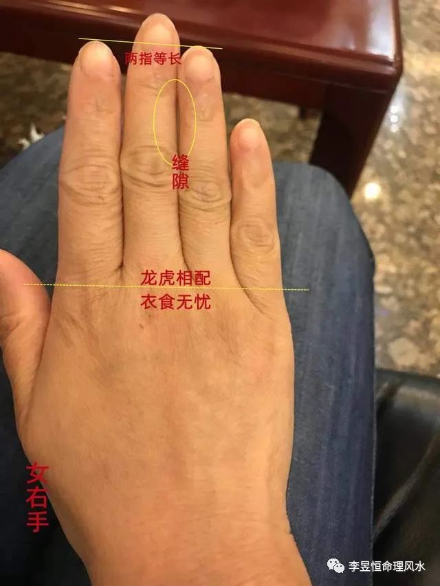 男人注定离婚手纹图解图片