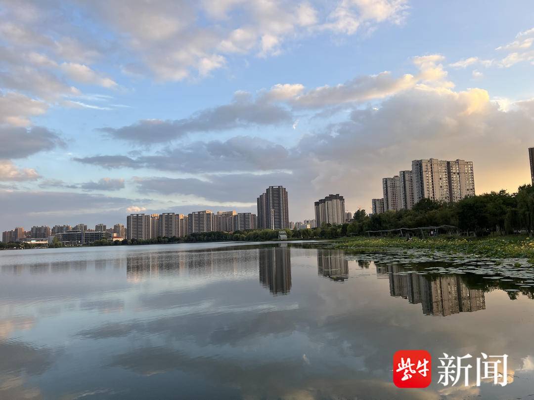 寒露当天,野鸭戏水南京六合龙池湖