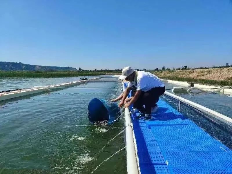 市水产站:科技助力水产养殖 全力助推乡村振兴