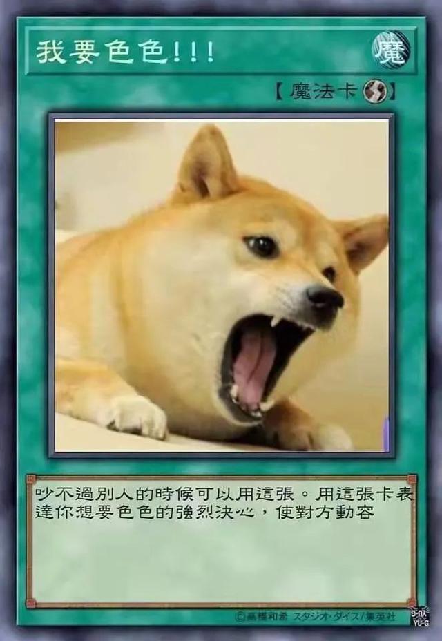 游戏王狗狗表情包图片