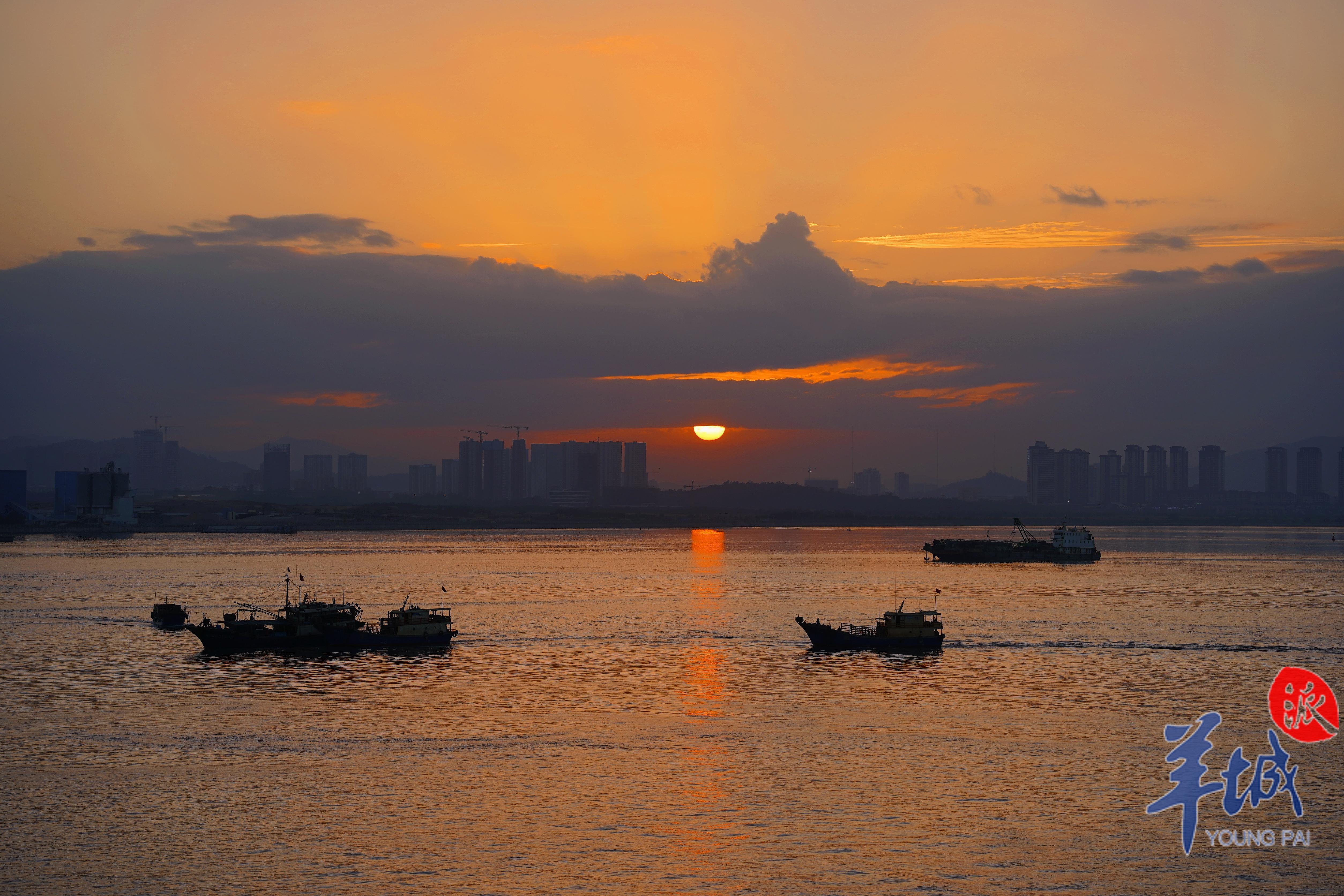 视频·大美岭南|珠海淇澳岛:瞻彼淇奥 绿竹猗猗