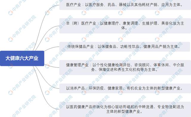 大健康产业链图谱图片