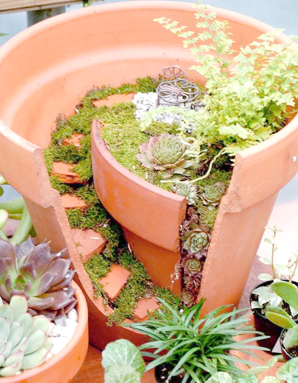 残破花盆变惊艳"仙境花园",创新造景引领生活新风尚