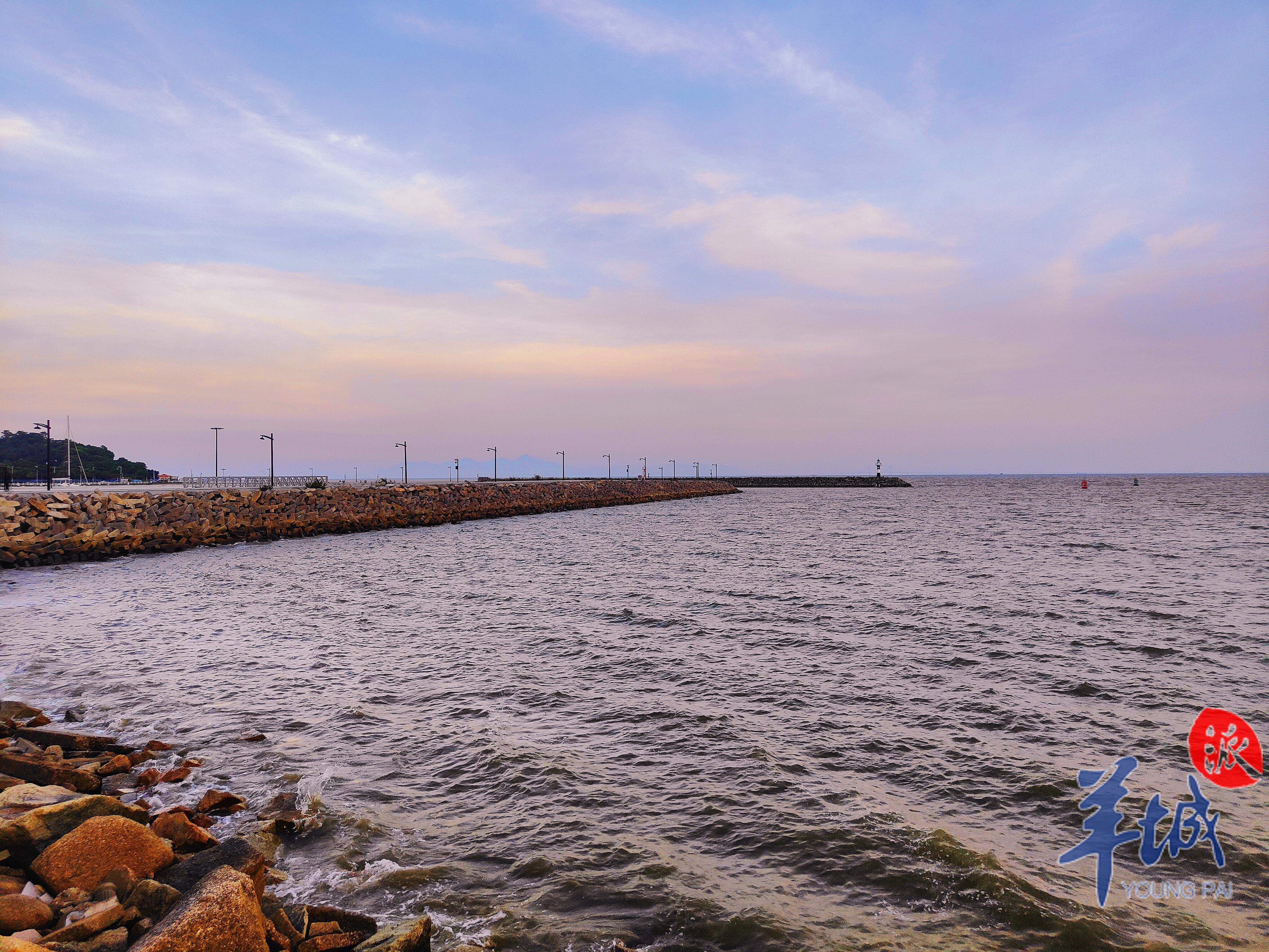 视频·大美岭南|珠海淇澳岛:瞻彼淇奥 绿竹猗猗
