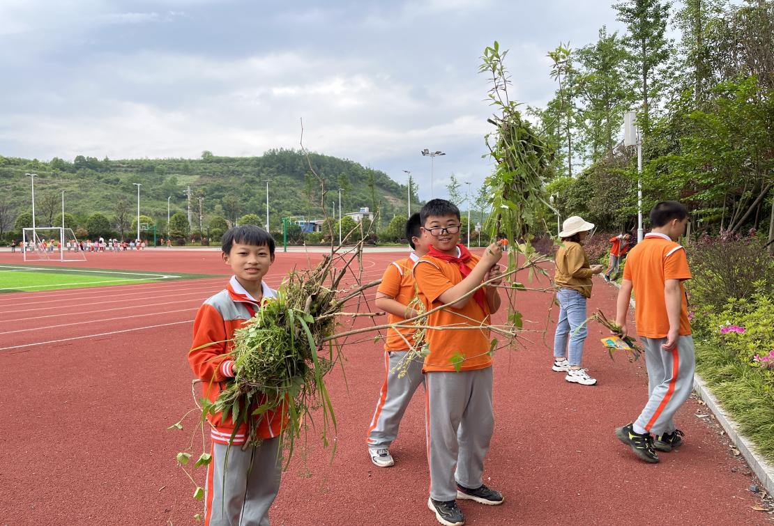 凤凰县芙蓉学校:劳动促成长 实践育新人