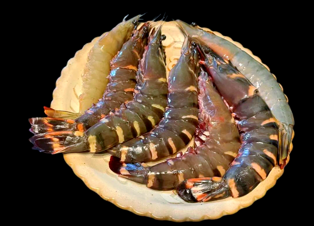 野生黑虎虾盛宴,大饱口福触手可及