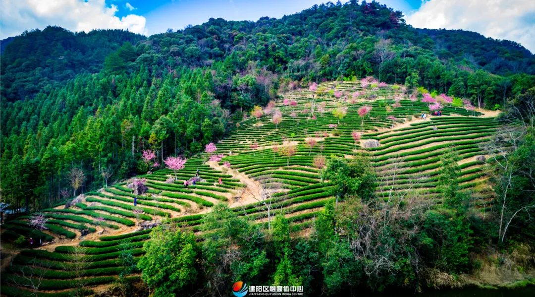 大潭职工活动示范线路丨将口镇崇雒乡