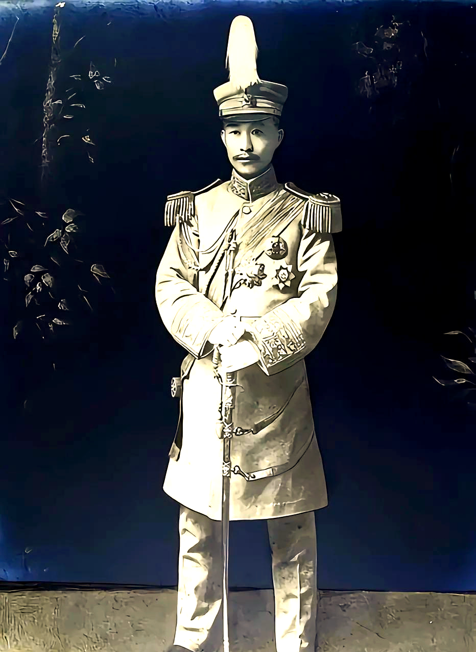 蔡锷与护国运动:共和伟人的历史刻画