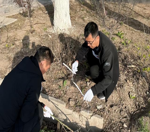 梨树县梨树镇多措并举美化人居环境 城乡面貌持续改善