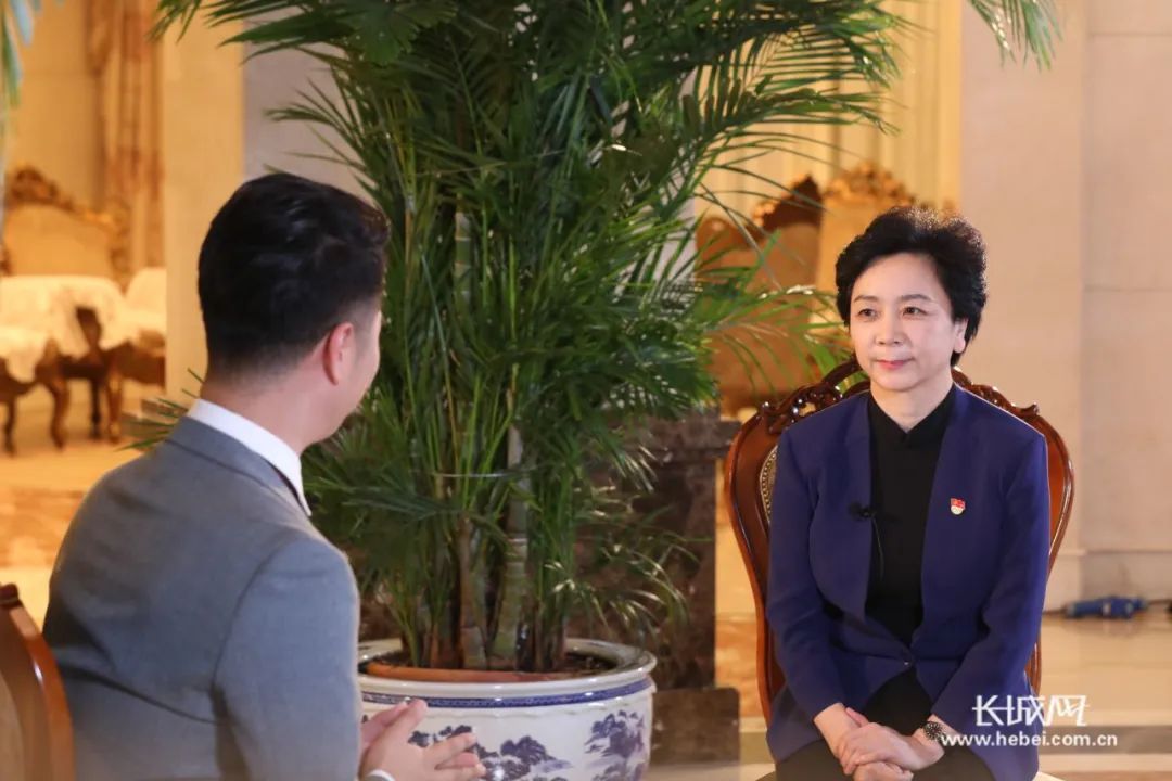 燕赵开新局 年中看亮点丨专访保定市代市长闫继红