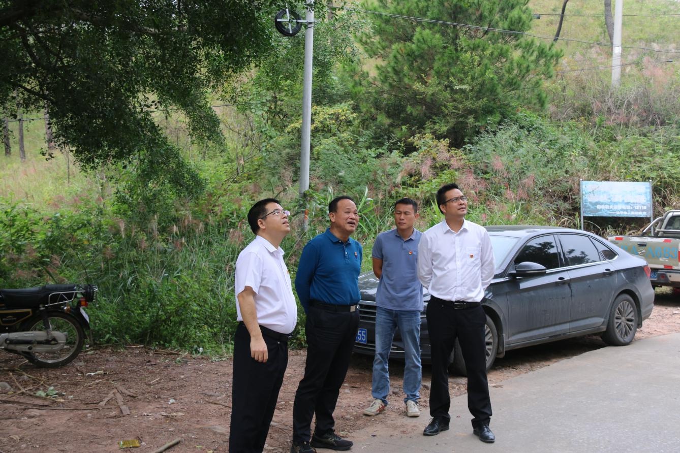 陆兵到桂平市开展森林防灭火专项指导工作